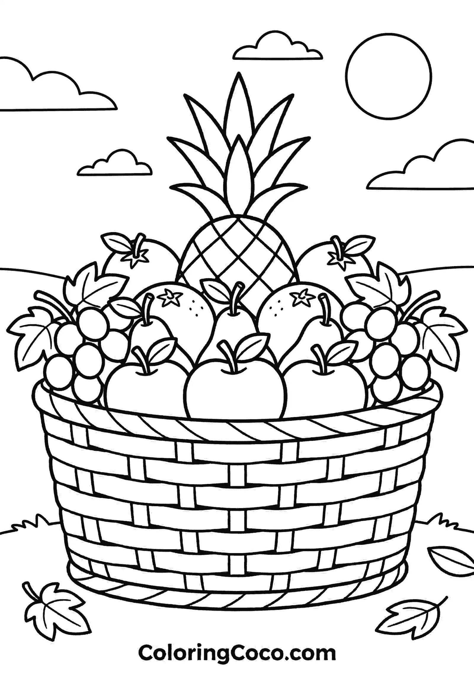 basket fruits under sun